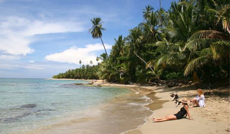 Caribbean Coast Explorer Image - Caribbean Explorer