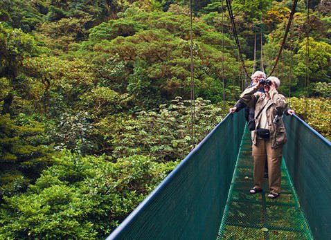Guided Hike in the Monteverde Cloud Forest Reserve Slide 5 - Guided Hike in the Monteverde Cloud Forest Reserve