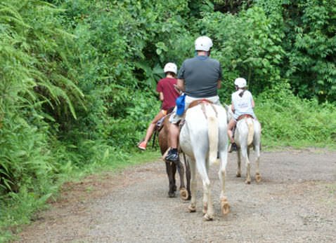 Horseback Riding Slide 1 1 - Manuel Antonio Tocori Waterfalls Horseback Tour