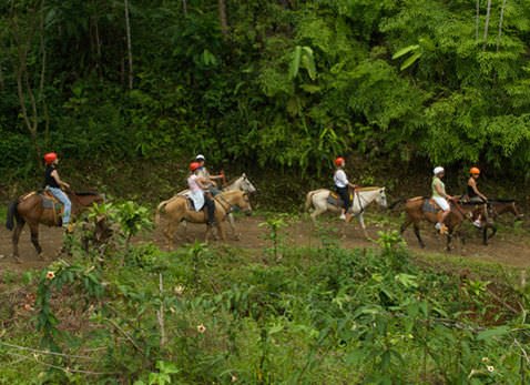 Horseback Riding Slide 3 1 - Manuel Antonio Tocori Waterfalls Horseback Tour