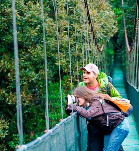 Pristine Green Arenal Slide 2 - Pristine Green Arenal