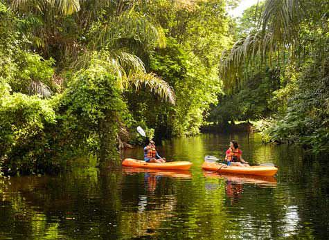 Tortuguero Canal Banana Plantation 1 - Tortuguero Canals & Limon Bonita beach