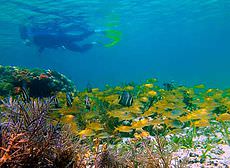 Trimaran Sailing & Snorkeling Tour Trimaran Sailing Snorkeling Tour 2 - Trimaran Sailing & Snorkeling Tour
