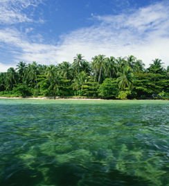 Bocas del Toro Island Hop - Multi Day Packages