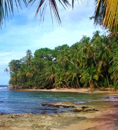 Caribbean Coast Explorer - Multi Day Packages