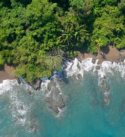 Expedition Osa - Adventure Packages