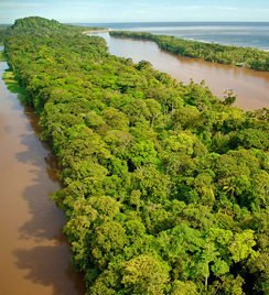 Tortuguero Eco Traveler - Adventure Packages