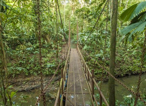 La Ceiba Tour 2 - La Ceiba Reserve - Day Tour