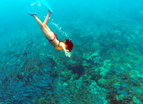 Caño Island 01 - Ca&ntilde;o Island Snorkeling