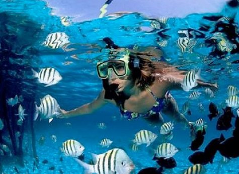 Caño Island 04 - Ca&ntilde;o Island Snorkeling