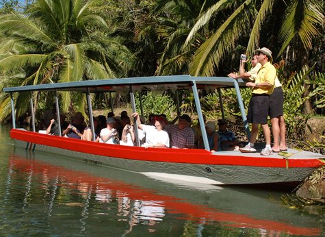 Damas Mangrove 01 - Damas Mangrove Boat Tour