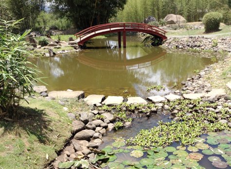 Irazu Volcano Orosi 04 - Irazu Volcano/Orosi Valley/Lankester Garden