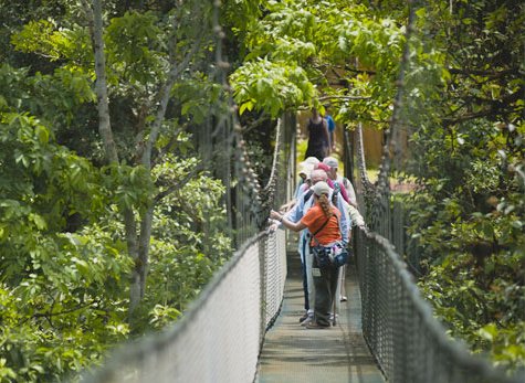 Canopy & Zipline at Parque de Aventura San Luis Parque San Luis 04 - Canopy & Zipline at Parque de Aventura San Luis