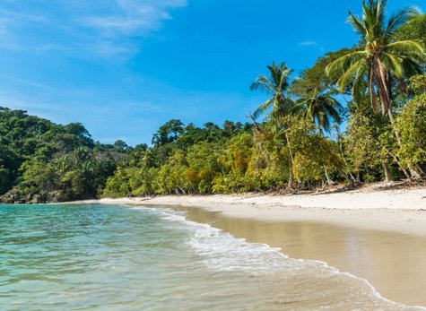 San Jose Day Tour: Manuel Antonio National Park Manuel Antonio Day Tour 01 - San Jose Day Tour: Manuel Antonio National Park