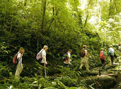 06 - Guided Hike in the Monteverde Cloud Forest Reserve