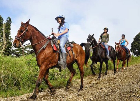 Horseback Ride A - Horseback Ride in the Clouds of Monteverde