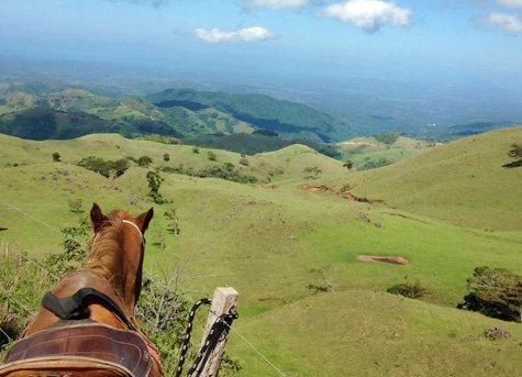 Horseback Ride C - Horseback Ride in the Clouds of Monteverde