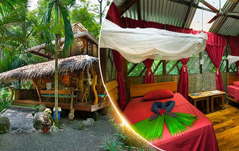 Congo bongo - 2-Night packages